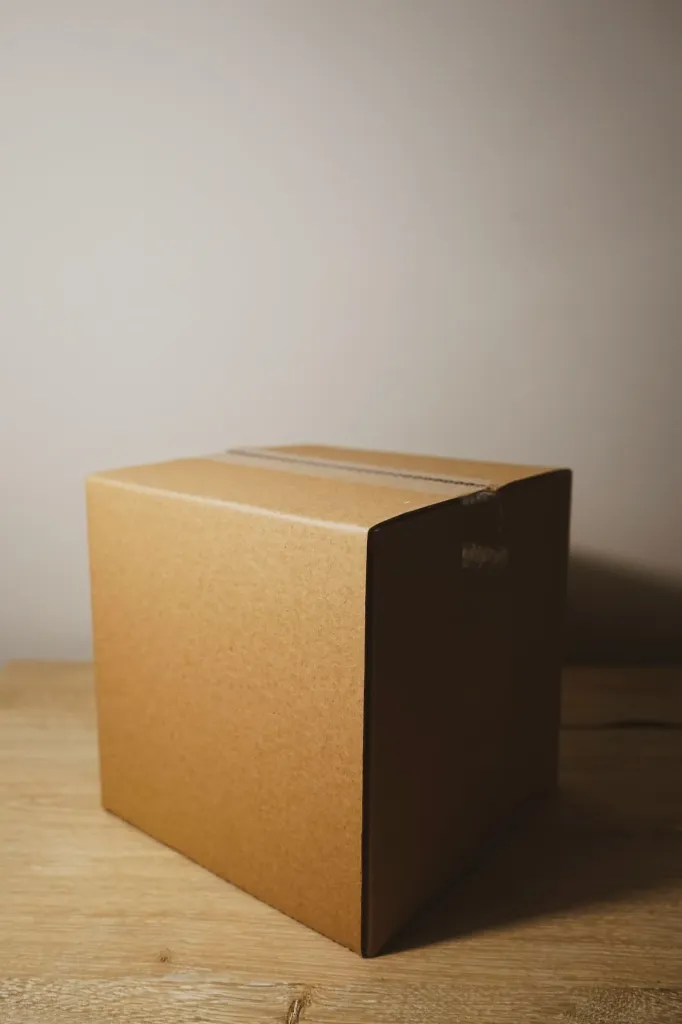 CAJA CARTÓN  GRANDE